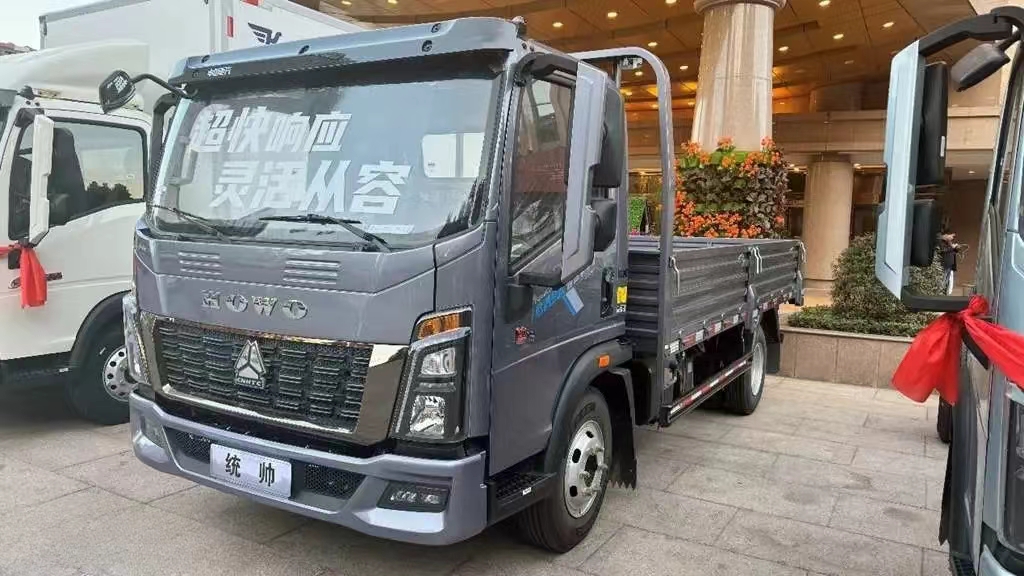 SINOTRUK HOWO 160 HP Single Row Van Light Truck