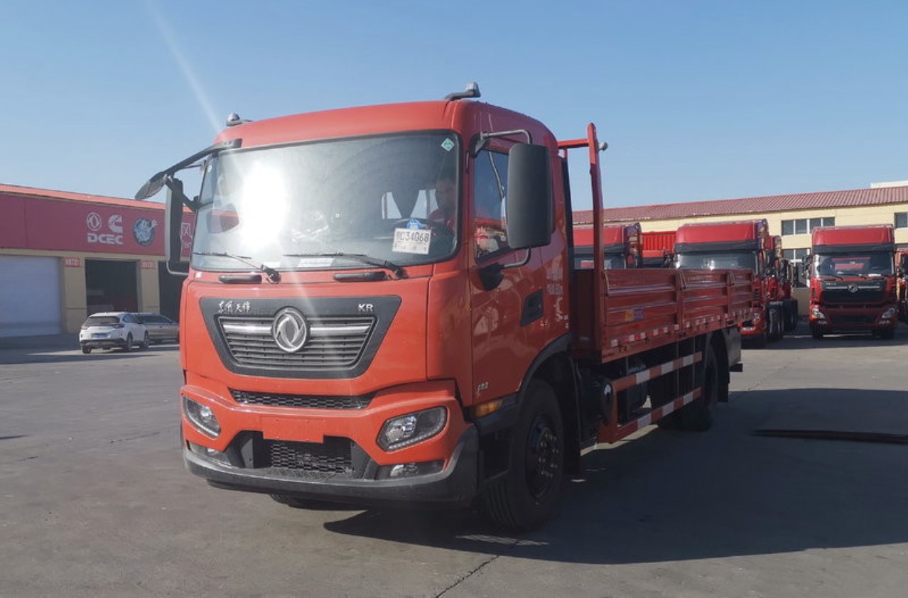 DFC Dongfeng Commercial Vehicles Tianjin KR Elite Edition 195 HP 4X2 4.8m van 